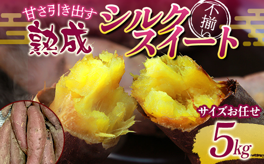 甘さ引き出す 不揃い 熟成シルクスイート 5kg さつまいも サ