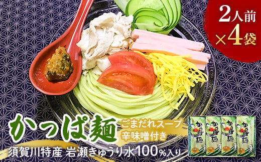 『須賀川特産岩瀬きゅうり』使用かっぱ麺 F7X-0504