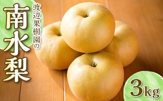 渡辺果樹園の南水梨　約3kg＜9月上旬～9月下旬にお届け＞ F7