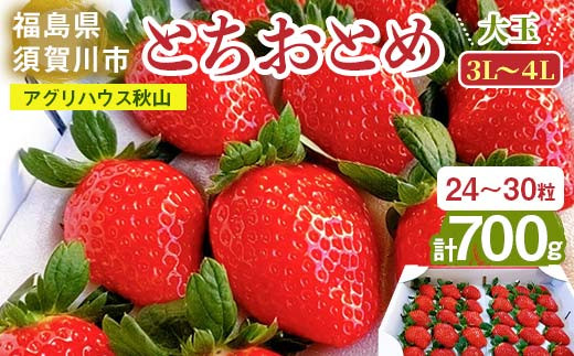 ＜アグリハウス秋山＞ とちおとめ デラックス3L～4L 大玉 24