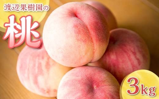 渡辺果樹園の桃　約3kg F7X-0161