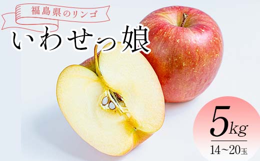 福島県のリンゴ　いわせっ娘 約5kg(14～20玉) F7X-0011