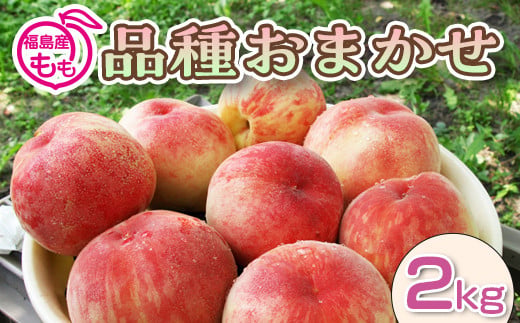 阿部農縁　福島県の桃　農家直送の完熟もも　品種おまか