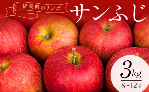 福島県のリンゴ　サンふじ約3kg(8～12玉) F7X-0013