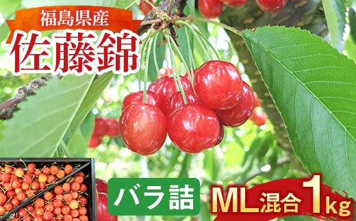 さくらんぼ ＜佐藤幸男農園＞ 佐藤錦 ML混合 1kg バラ詰 F7X-02