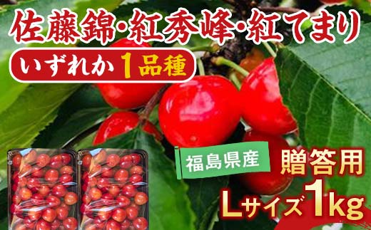 さくらんぼ 佐藤錦 紅秀峰 紅てまりのどれか1品種 1kg Lサイ