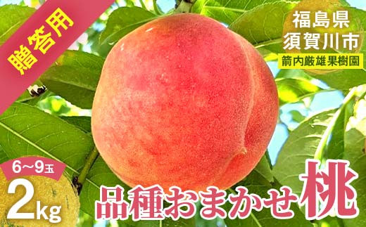 桃 ＜箭内厳雄果樹園＞ もも 2kg 6～9玉 品種おまかせ 贈答用