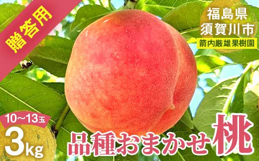 桃 ＜箭内厳雄果樹園＞ もも 3kg　10～13玉 品種おまかせ 贈