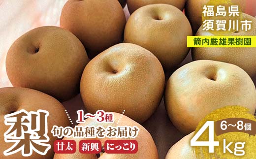 梨 甘太 新興 にっこり 1～3種入り 4kg 6～8個 ＜箭内厳雄果樹