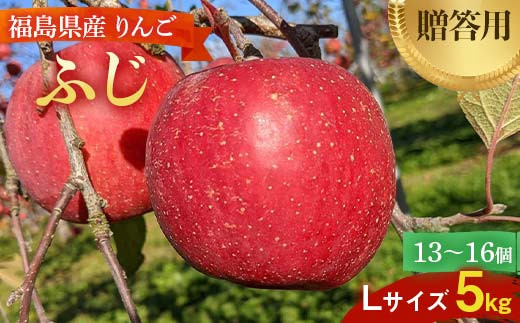 ＜佐藤幸男農園＞ りんご 5kg ふじ Lサイズ 13～16玉 F7X-0221