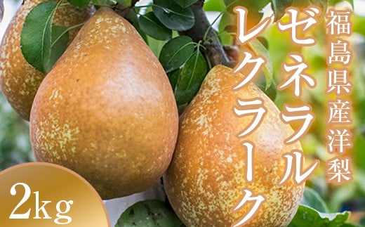 阿部農縁　希少な洋梨ゼネラルレクラーク2kg(4～6玉)　福島