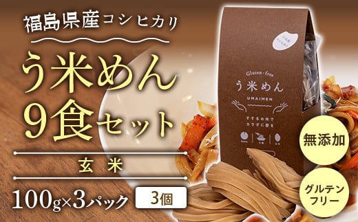 コシヒカリ玄米 う米めん 9食セット 無添加 グルテンフリー