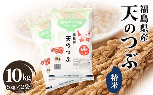 令和6年産米 須賀川市産 天のつぶ精米10kg ブランド米 お米