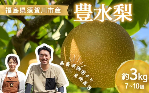 ＜先行受付＞ 嘉斎果樹園の梨「豊水」約3kg（7～10個） なし