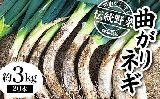 明治から守る伝統野菜「曲がりネギ」約3kg F7X-0075