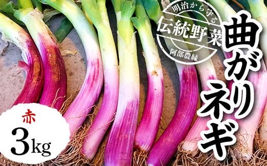 明治から守る伝統野菜「曲がりネギ 赤」約3kg F7X-0074