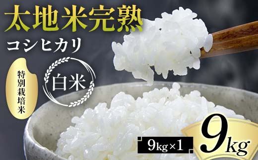 2026年産 特別栽培米 太地米完熟【こしひかり】 白米 9kg ブ