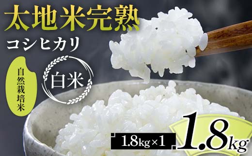 2026年産 自然栽培米 太地米完熟【こしひかり】 白米 1.8kg ブ
