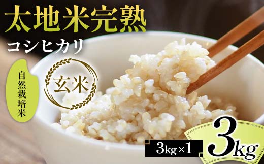 2026年産 自然栽培米 太地米完熟【こしひかり】 玄米 3kg ブ