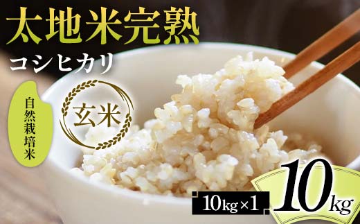 2026年産 自然栽培米 太地米完熟【こしひかり】 玄米 10kg ブ