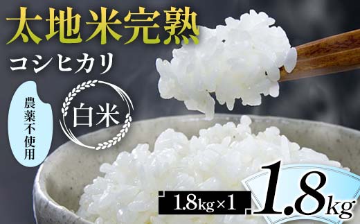 2026年産 農薬不使用 太地米完熟【こしひかり】 白米 1.8kg ブ