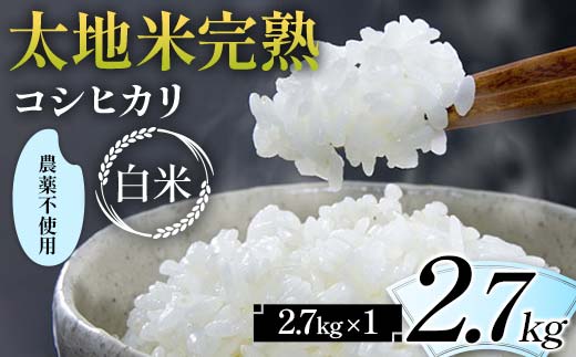 2026年産 農薬不使用 太地米完熟【こしひかり】 白米 2.7kg ブ