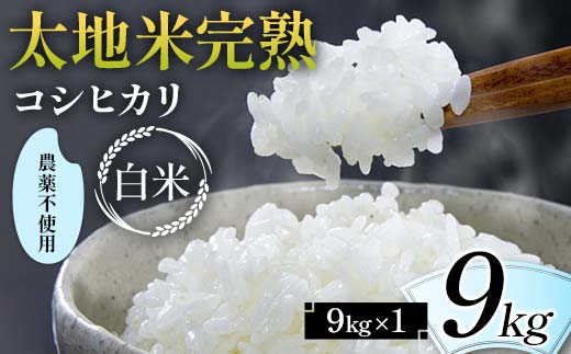 2026年産 農薬不使用 太地米完熟【こしひかり】 白米 9kg ブ