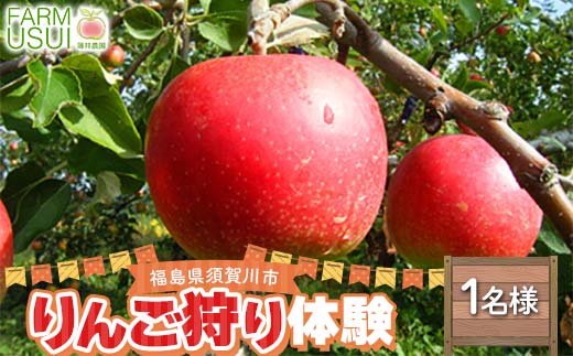 りんご狩り体験料金1人様分（45分・食べ放題） 体験 リンゴ