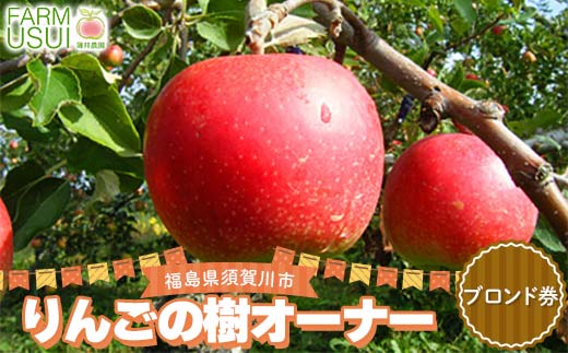 りんごの樹のオーナー ブロンズ（サンふじ100個） 体験 農