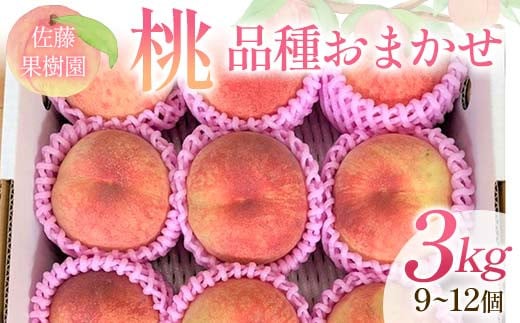 桃 品種おまかせ 3kg 9～12個 もも 贈答 プレゼント ＜佐藤果