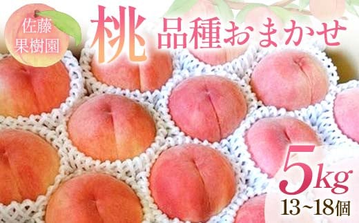 桃 品種おまかせ 5kg 13～18個 もも 贈答 プレゼント ＜佐藤果