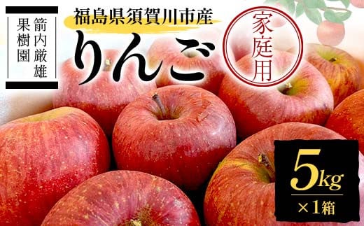須賀川市産 リンゴ 家庭用 5kg ＜箭内厳雄果樹園＞ りんご