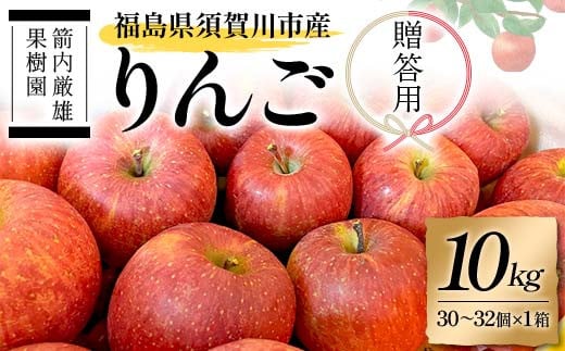 須賀川市産 リンゴ 贈答用 10kg（30～32個）＜箭内厳雄果樹園