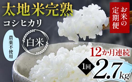 【先行予約】お米の定期便 農薬不使用米 太地米完熟 【こ