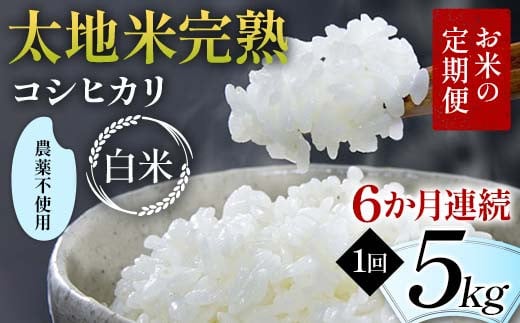 お米の定期便 農薬不使用米 太地米完熟 【こしひかり】 白