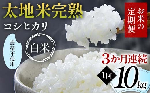 お米の定期便 農薬不使用米 太地米完熟 【こしひかり】 白