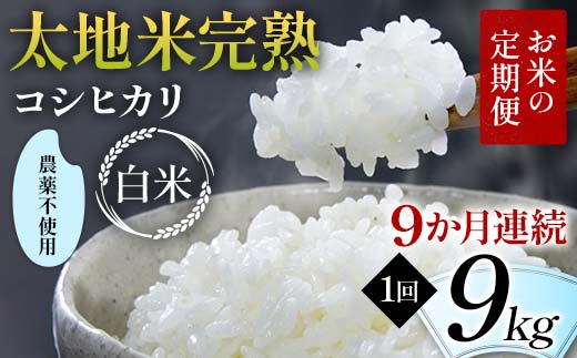 【先行予約】お米の定期便 農薬不使用米 太地米完熟 【こ