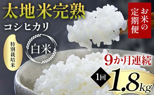 【先行予約】お米の定期便 特別栽培米 太地米完熟 【こし