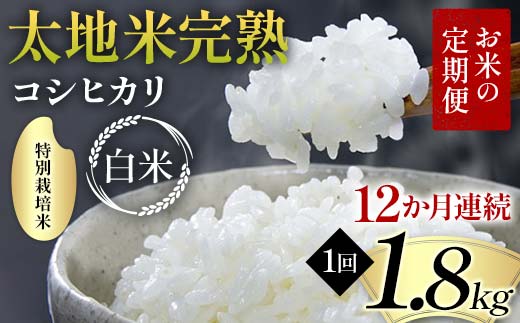 【先行予約】お米の定期便 特別栽培米 太地米完熟 【こし
