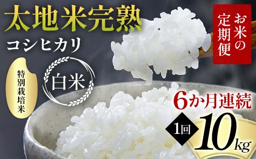 お米の定期便 特別栽培米 太地米完熟 【こしひかり】 白米1