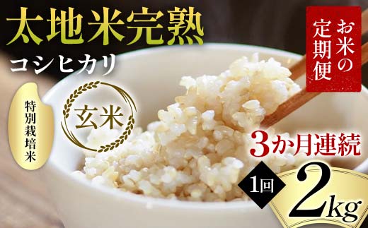 【先行予約】お米の定期便 特別栽培米 太地米完熟 【こし