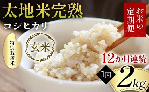 【先行予約】お米の定期便 特別栽培米 太地米完熟 【こし