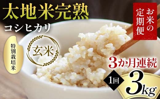 【先行予約】お米の定期便 特別栽培米 太地米完熟 【こし