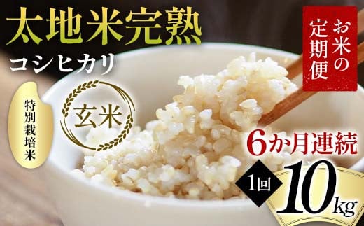 お米の定期便 特別栽培米 太地米完熟 【こしひかり】 玄米1