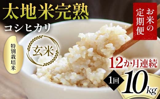 【先行予約】お米の定期便 特別栽培米 太地米完熟 【こし