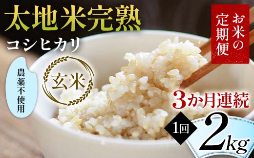 【先行予約】お米の定期便 農薬不使用米 太地米完熟 【こ