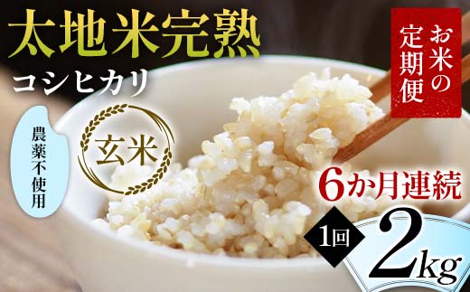 【先行予約】お米の定期便 農薬不使用米 太地米完熟 【こ