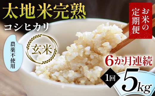 お米の定期便 農薬不使用米 太地米完熟 【こしひかり】 玄
