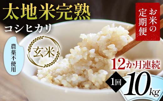 【先行予約】お米の定期便 農薬不使用米 太地米完熟 【こ