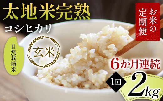 お米の定期便 自然栽培米 太地米完熟 【こしひかり】 玄米2